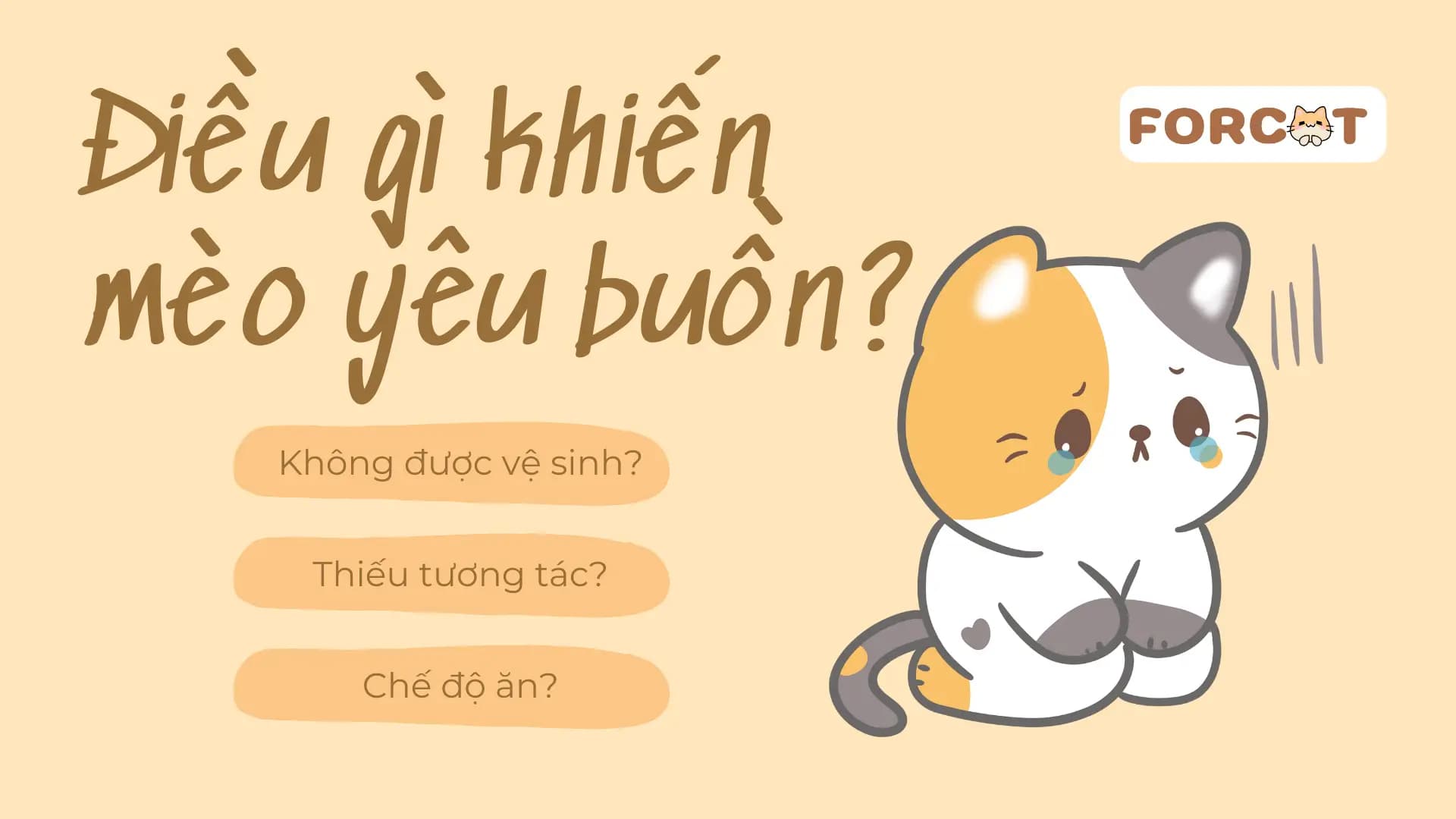 Điều gì khiến mèo yêu của bạn không vui